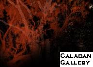 Caladan Gallery