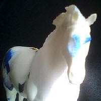 Cholla Pony Resin